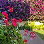 Dream Garden Апартаменты