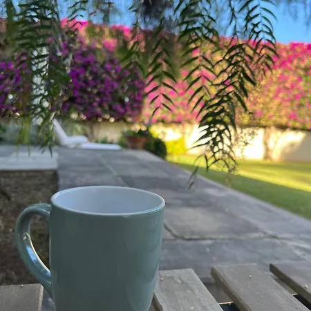 Dream Garden Apartment Santa Cruz de Tenerife