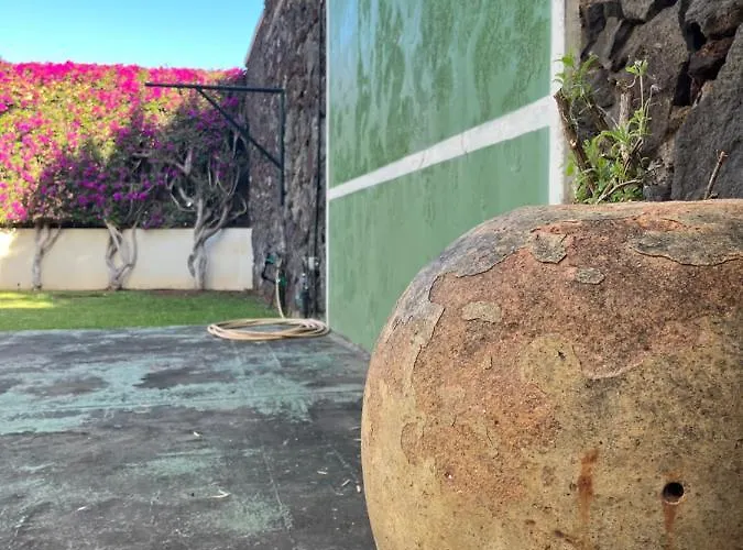 Dream Garden Santa Cruz de Tenerife