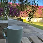 Dream Garden 公寓 圣克鲁斯-德特内里费