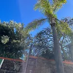 아파트 Dream Garden 산타크루스데 테네리페