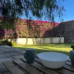 Dream Garden * 圣克鲁斯-德特内里费