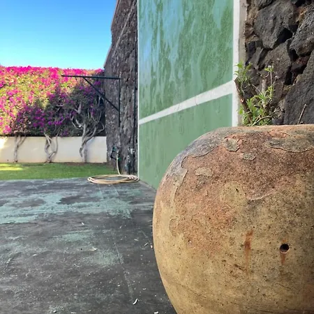 Dream Garden Santa Cruz de Tenerife