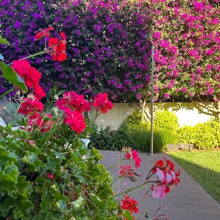 Dream Garden Apartmán