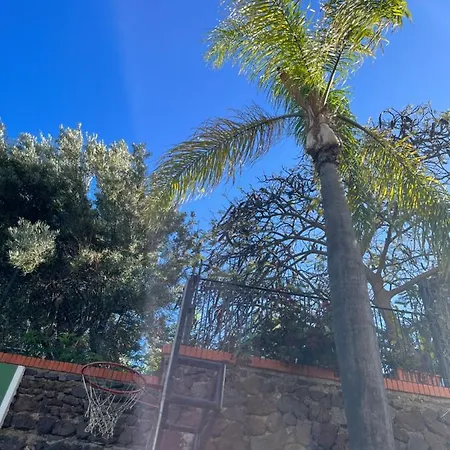 Apartmán Dream Garden Santa Cruz de Tenerife