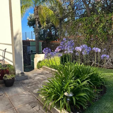 Apartmán Dream Garden