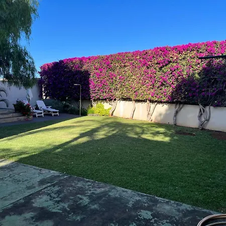 Apartmán Dream Garden Santa Cruz de Tenerife