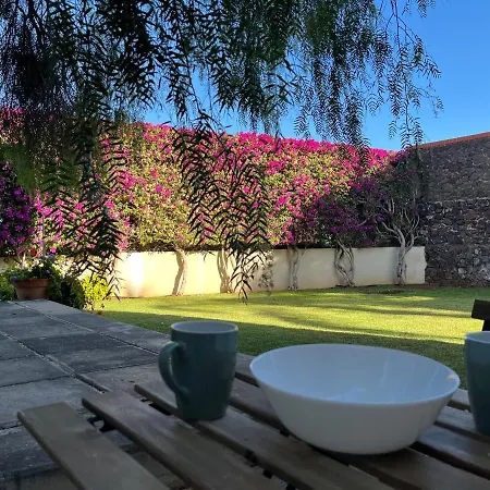 Dream Garden * Santa Cruz de Tenerife