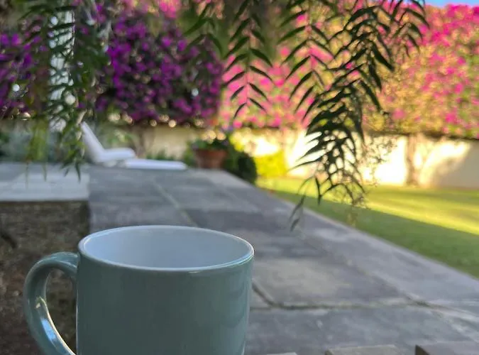 Dream Garden Apartment Santa Cruz de Tenerife