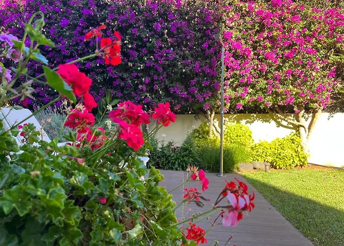 Dream Garden Apartment