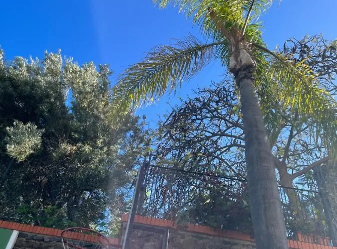 Apartment Dream Garden Santa Cruz de Tenerife